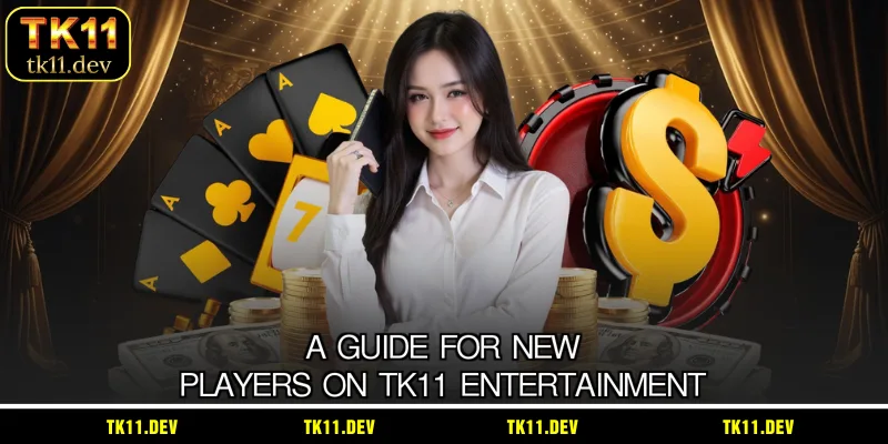 A guide for new players on TK11 entertainment