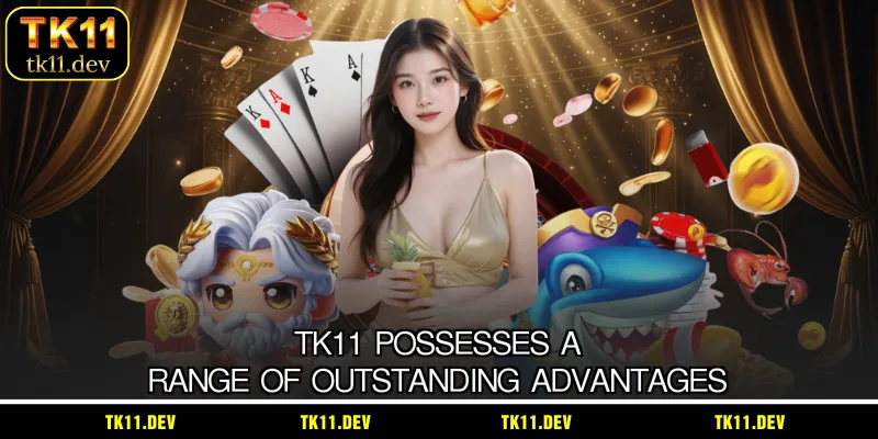 TK11 possesses a range of outstanding advantages